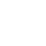 TikTok Icon